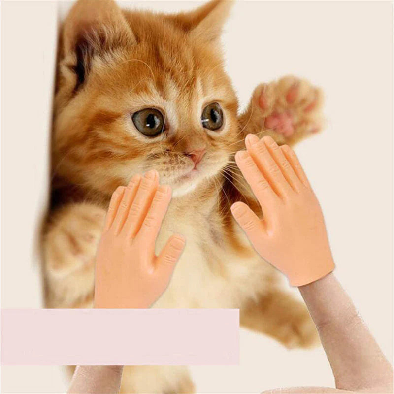 💪🐱Roliga kattmassagehandskar