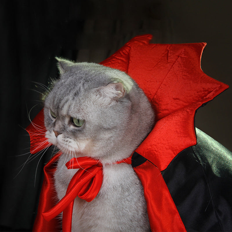 Halloween Dracula husdjurskostym