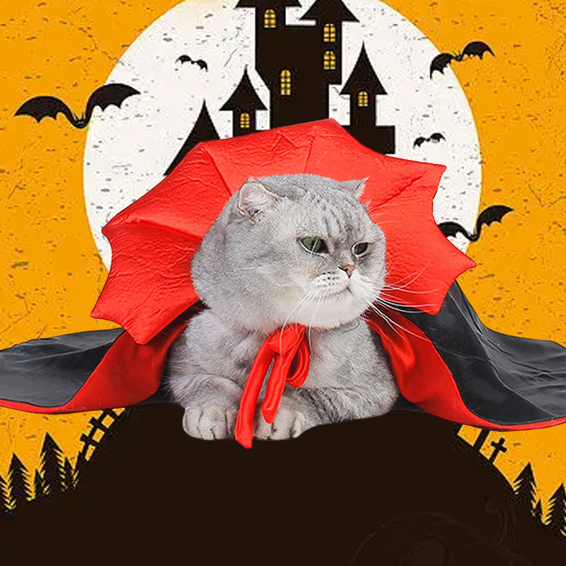 Halloween Dracula husdjurskostym