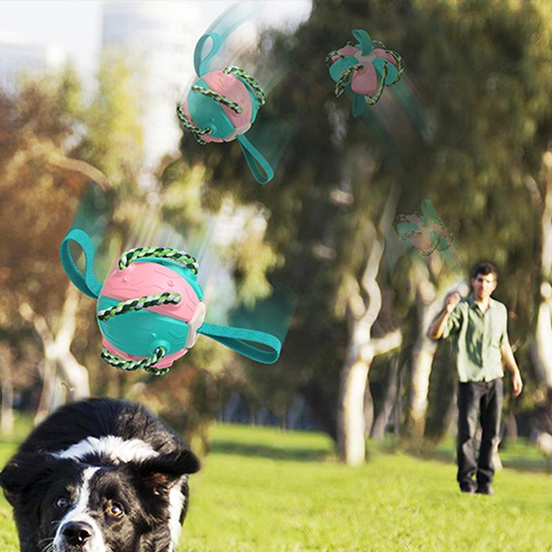 Tuggig klämbar UFO-boll för hund