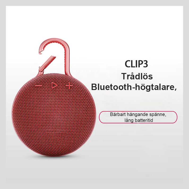 Trådlös sporthögtalare med bluetooth