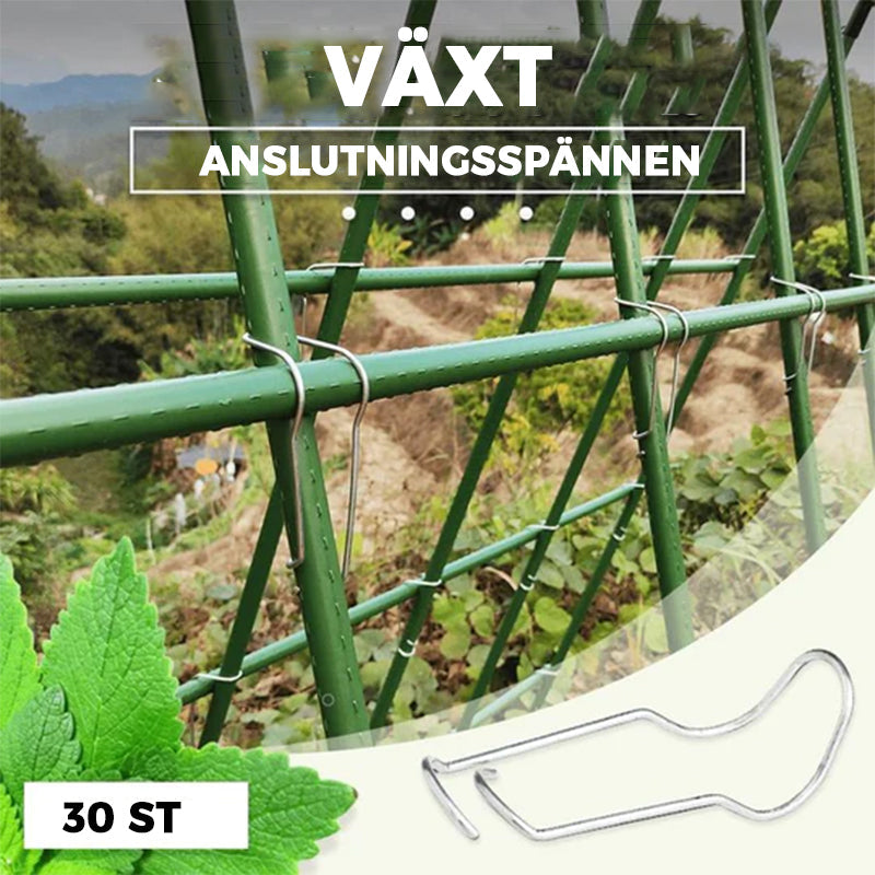 Växtanslutningsspännen