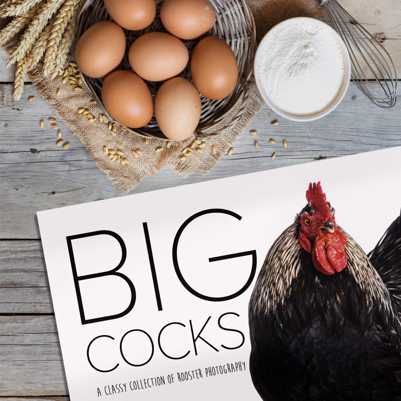 Big Cocks 2024 Väggkalender - En elegant samling av tuppfoton