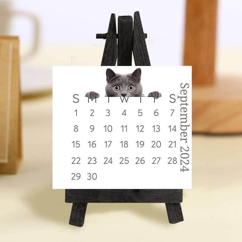 🐱2024 kikar kattskrivbordskalender