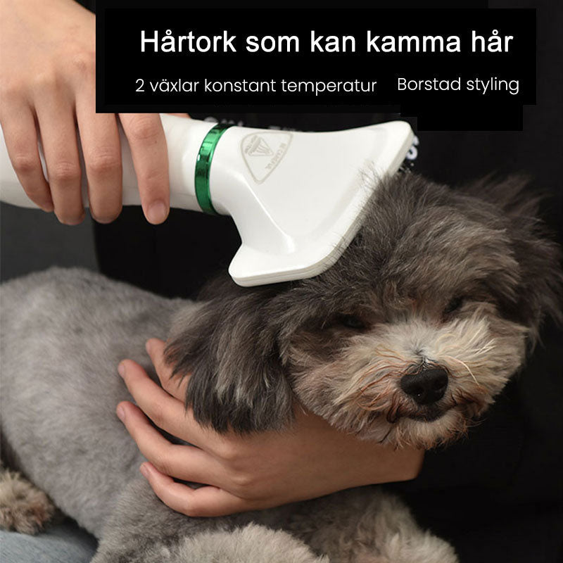 Husdjurs Hårtork Borste