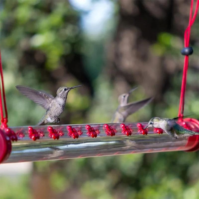 Hängande kolibri matare