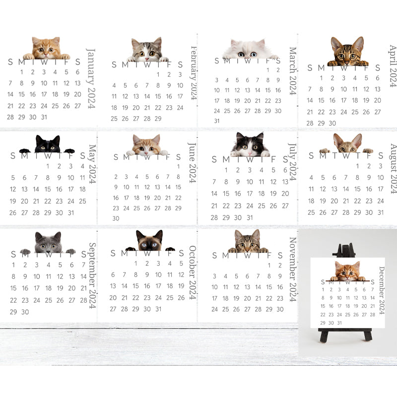 🐱2024 kikar kattskrivbordskalender