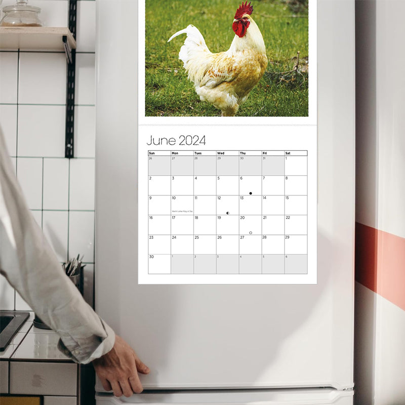 Big Cocks 2024 Väggkalender - En elegant samling av tuppfoton