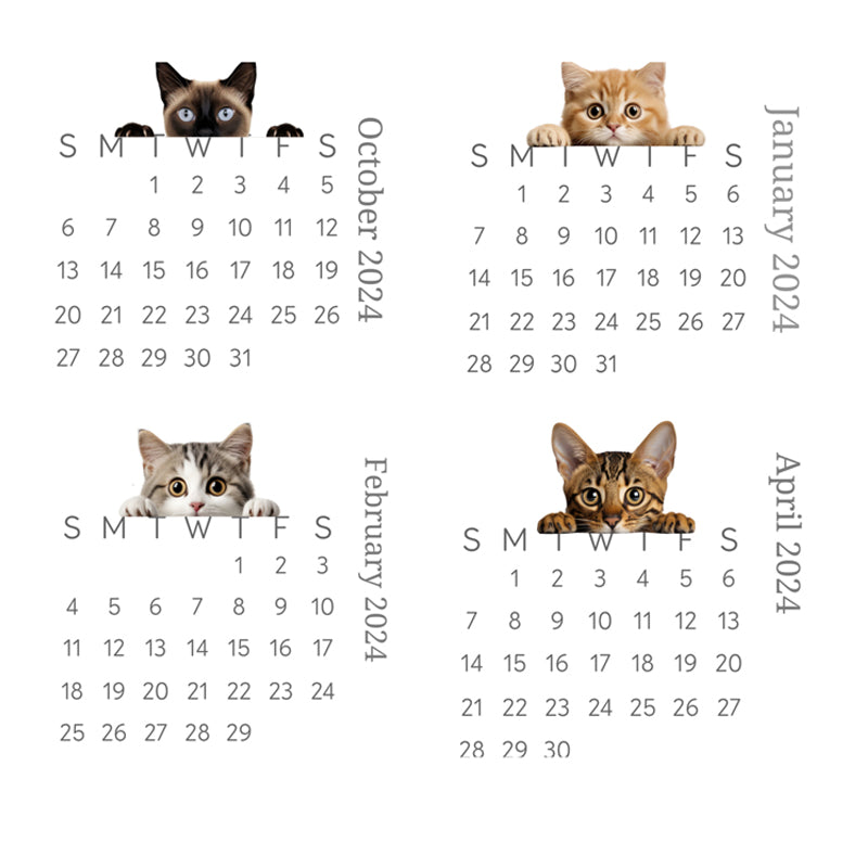 🐱2024 kikar kattskrivbordskalender