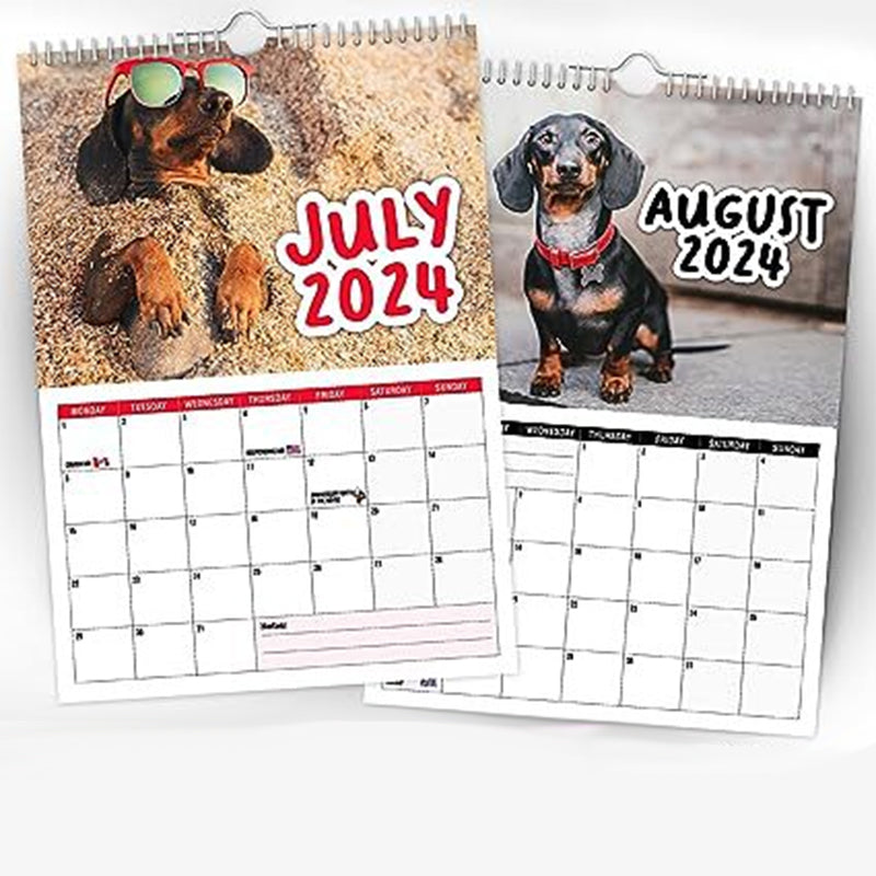 Cheeky Dachshunds - 2024 Väggkalender