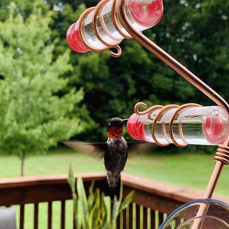 Fönster Hummingbird Feeder