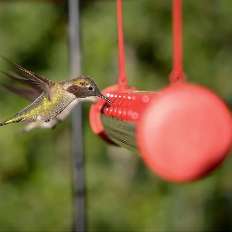 Hängande kolibri matare