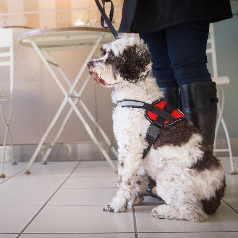 Reflective all-in-one No Pull Dog Harness