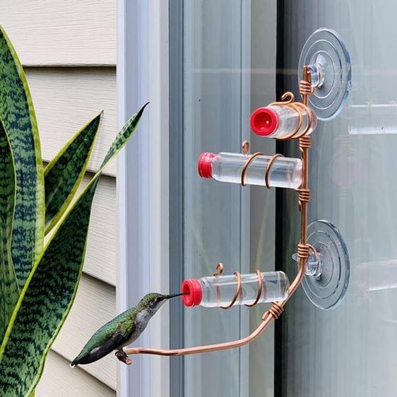 Fönster Hummingbird Feeder