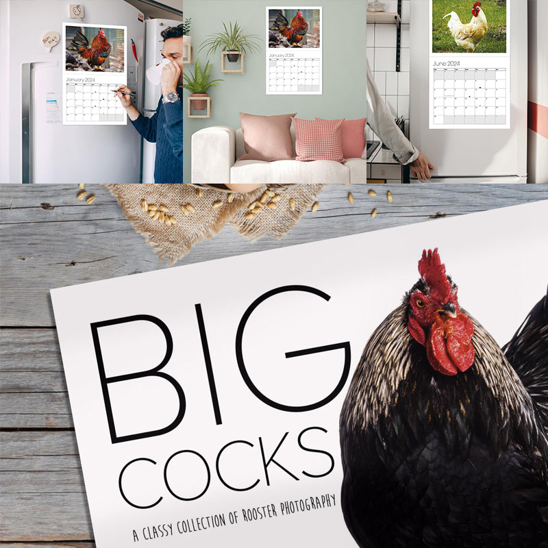 Big Cocks 2024 Väggkalender - En elegant samling av tuppfoton