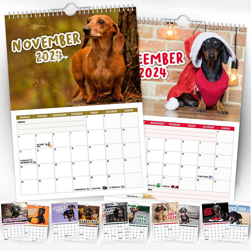 Cheeky Dachshunds - 2024 Väggkalender